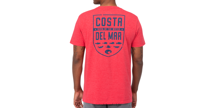 kleding zijn Costa Del Mar Heren soort schild ss heide rood 8VFDF512
